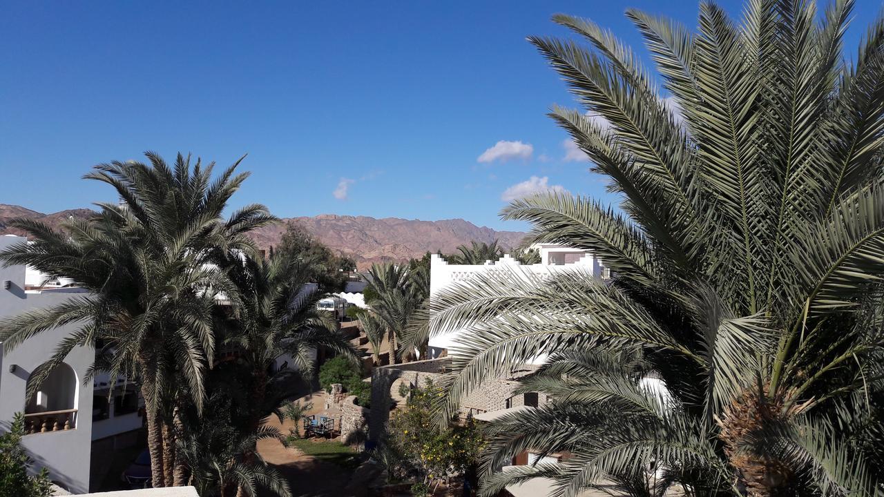 New Yalla Hotel Dahab Buitenkant foto