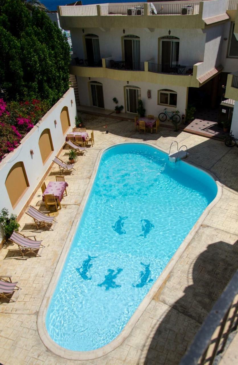 New Yalla Hotel Dahab Buitenkant foto